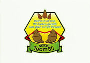 NMB48 Team BII.jpg