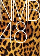 NMB48 logo