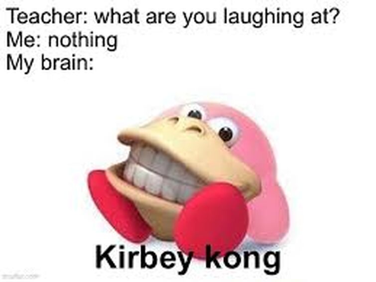 Wholesome Kirby Memes, Wiki