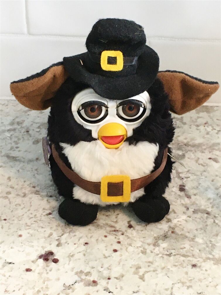 Fandom Image