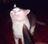 HadalHalogen's avatar
