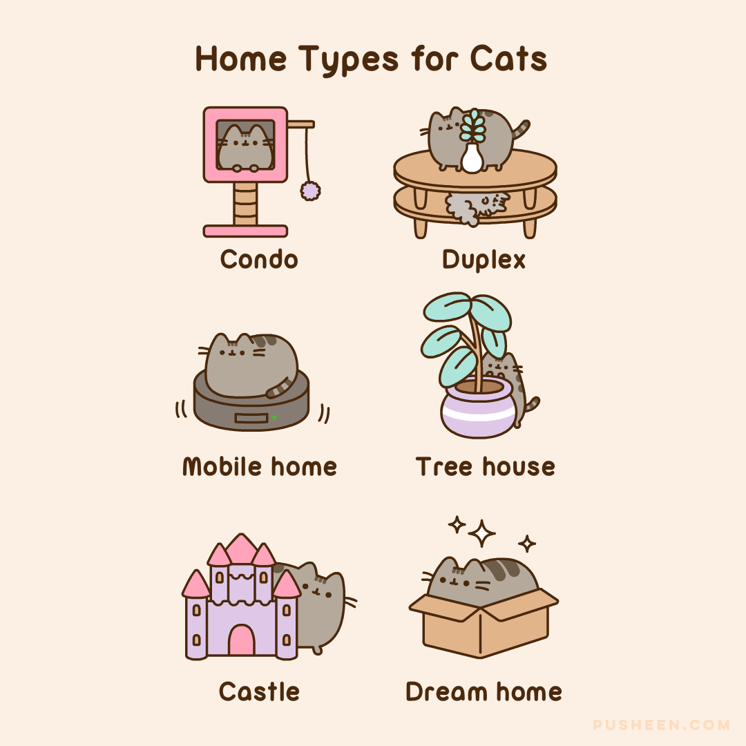 Pusheen home LOL Fandom