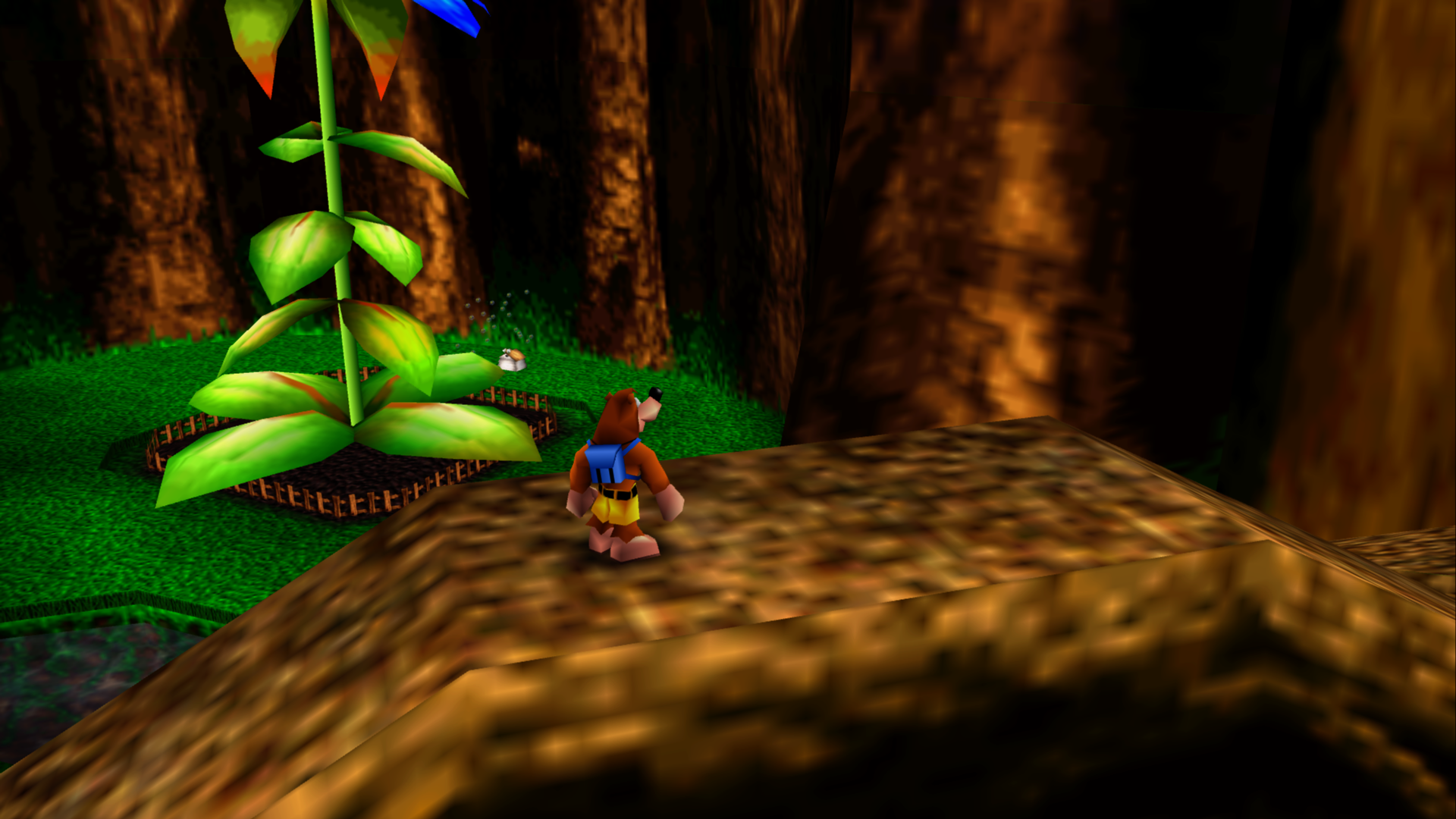 Click Clock Wood - Banjo-Kazooie Guide - IGN