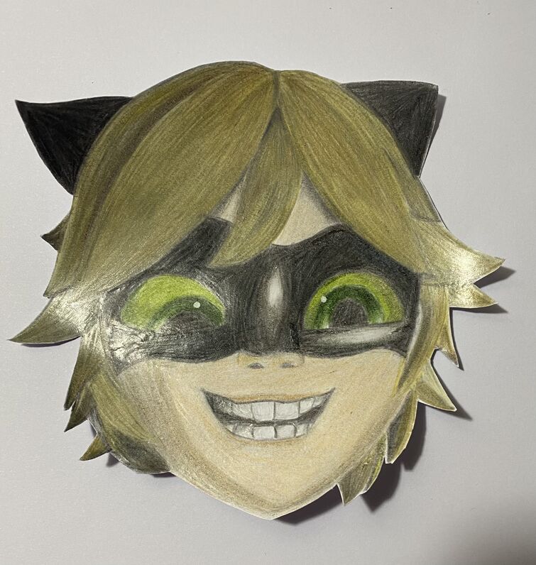 Miraculous Ladybug & Cat Noir Masks