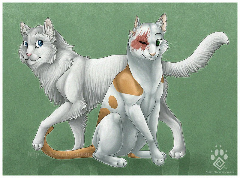 Яролика кв картинки