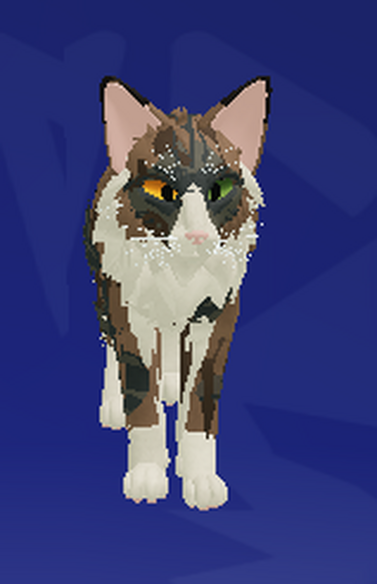 Lego warrior best sale cats