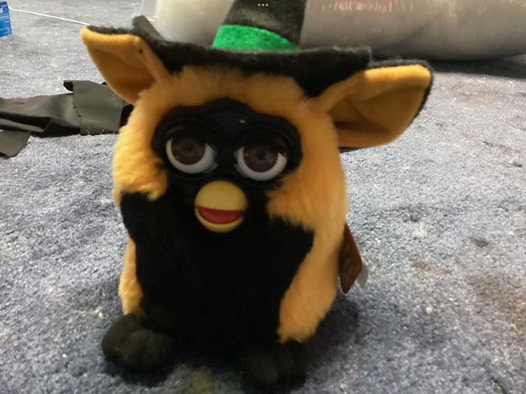 Fandom Image