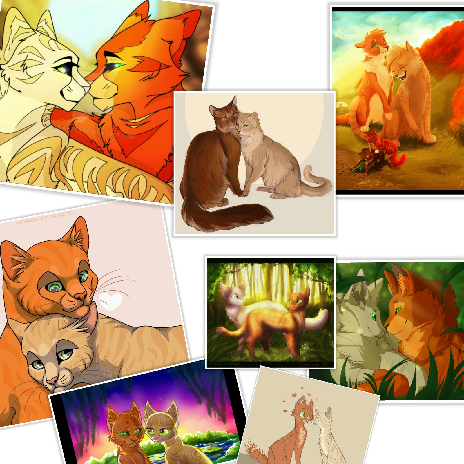 Коты воители картинки огнезвезд и песчаная буря