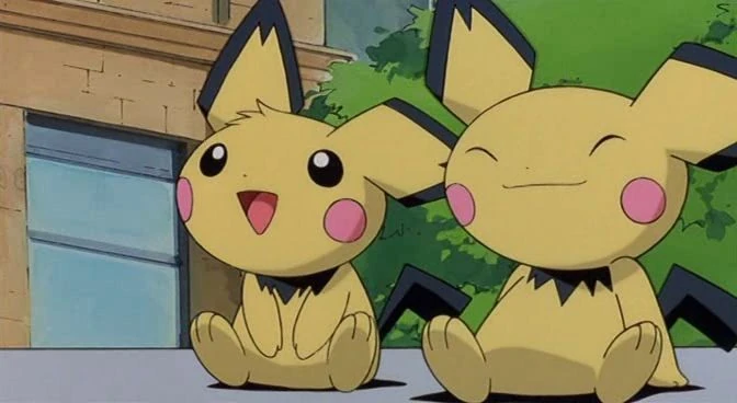 Naming the Pichu bro | Fandom