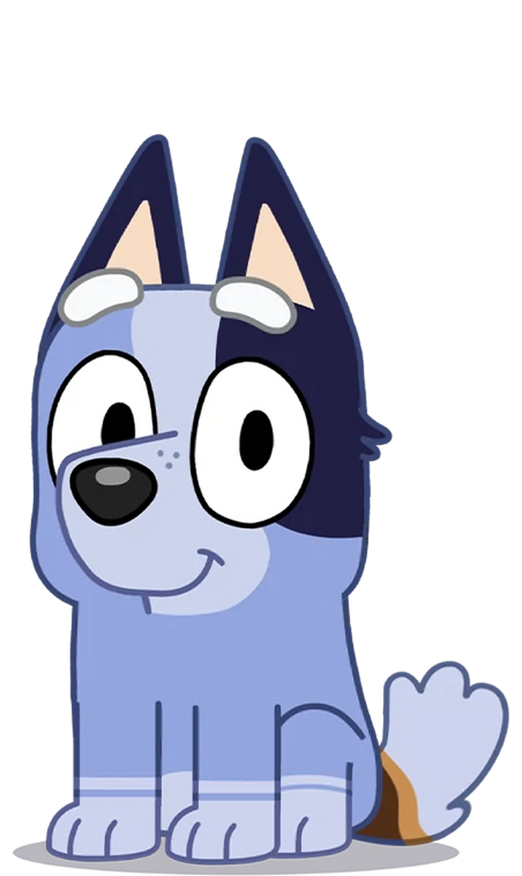 socks and muffin bluey
