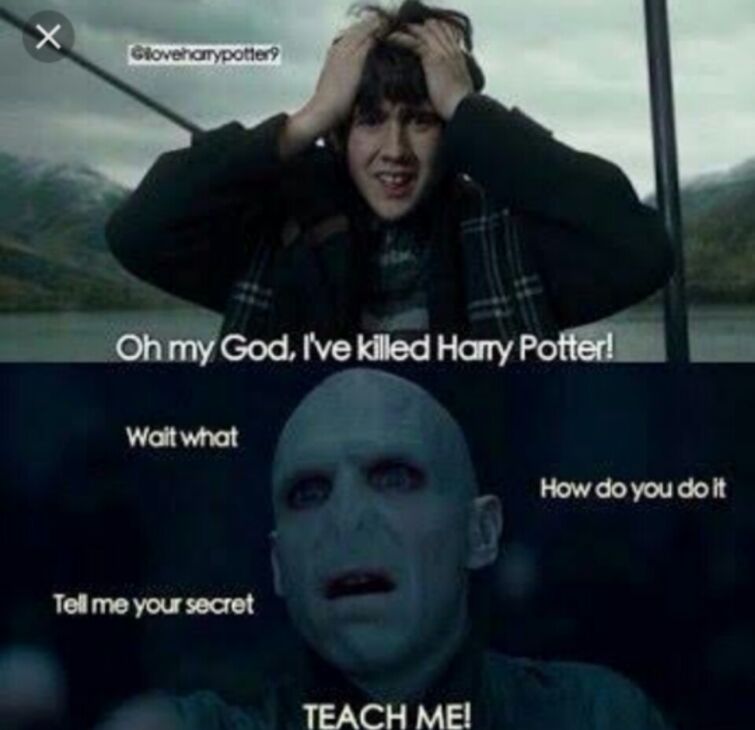 Harry Potter MEMES!!! / X