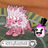 Kittyfuzzball's avatar