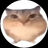 ONKI0.1's avatar
