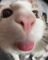 Skittty's avatar