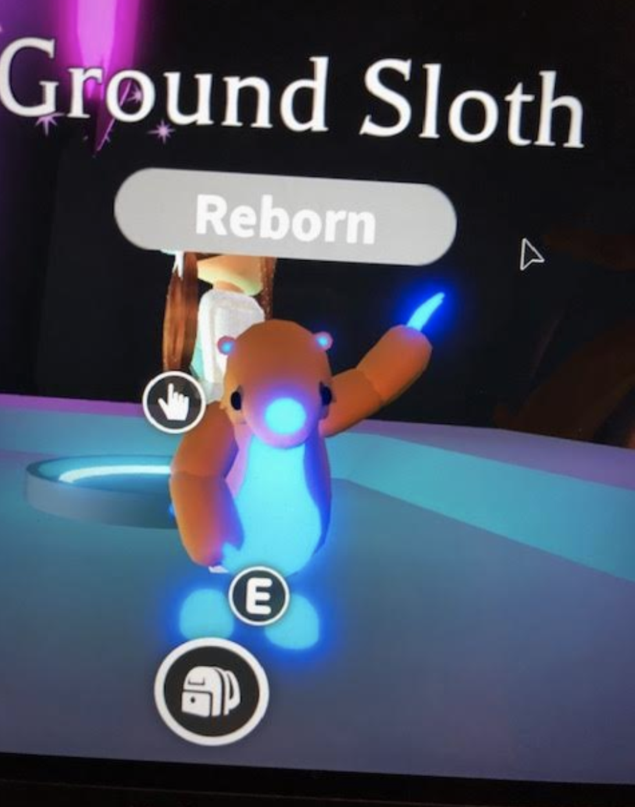 Any Name Ideas For Neon Ground Sloth Fandom - roblox adopt me neon sloth