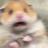 FalaKoala's avatar