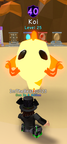 Hatched The Koi My First Secret Fandom - koi bgs roblox