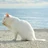 Ginstersee Katzenfans Profilbild