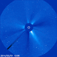 C31.gif