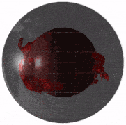 C1.gif