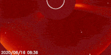 C24.gif
