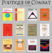 Politics of Fight (French)