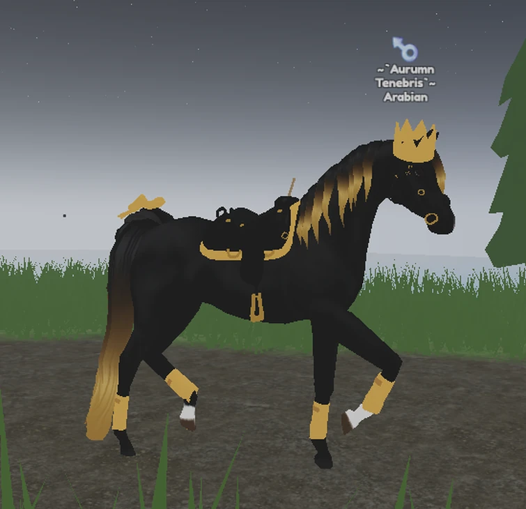 Show your... black/gold & white/gold horses! (Fade edition) | Fandom
