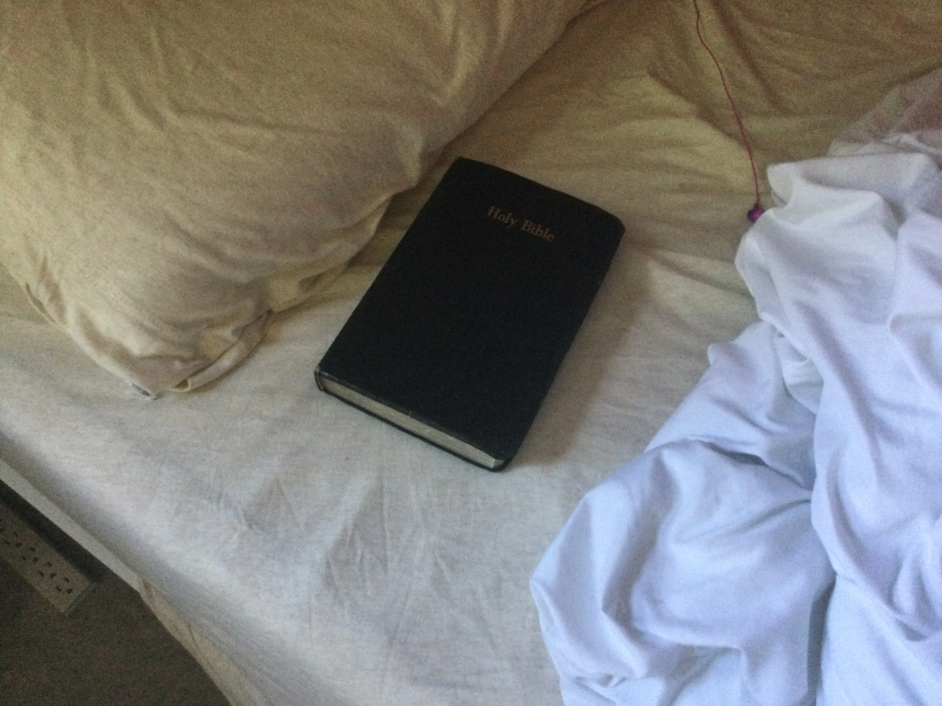 New reading material 😋😋😋 Fandom