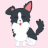Xue Shao's avatar