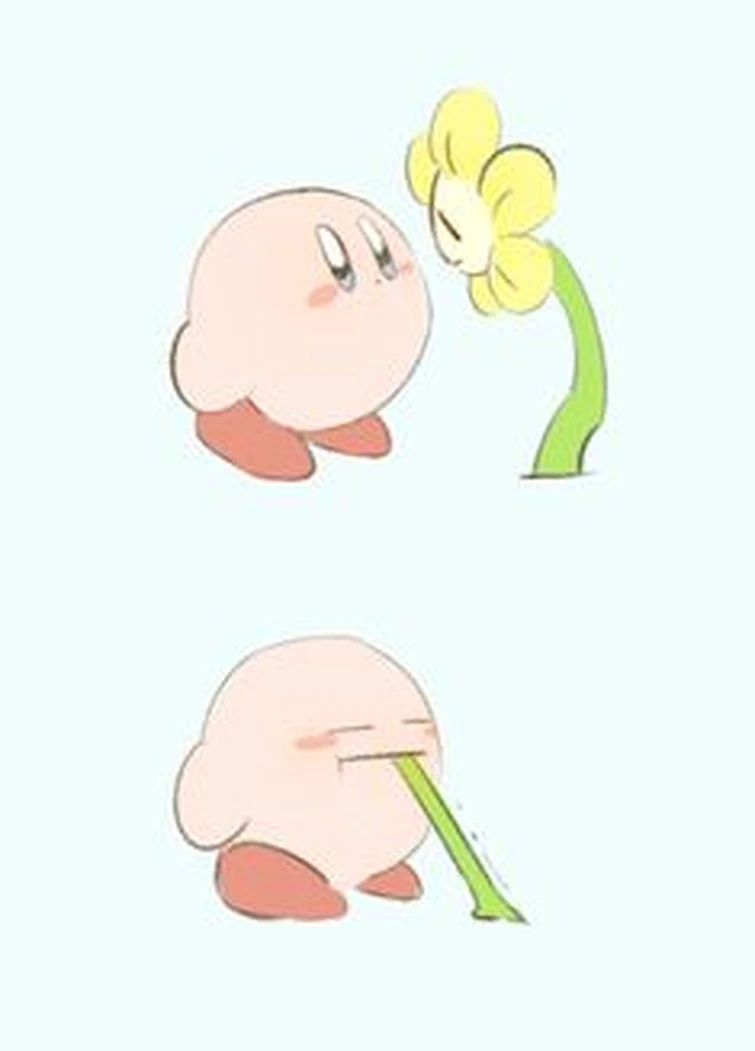 Hey, I got something to show you! *Causally bombards you with Kirby