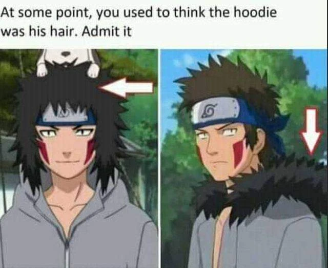 Kiba's hair Fandom
