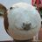 Flyingcow1003's avatar