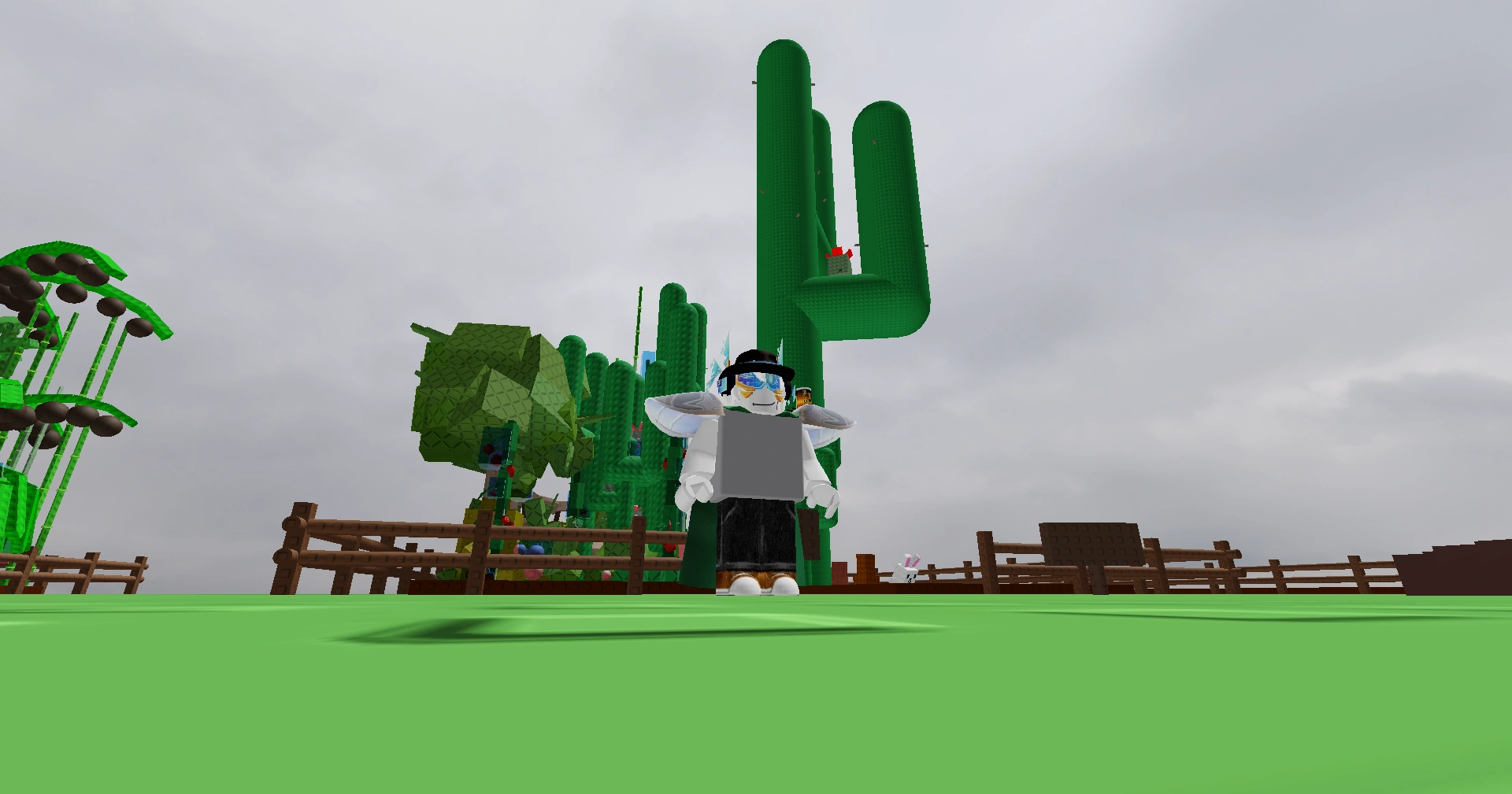 Cactus( no pets no sprinkler prob a bug) | Fandom