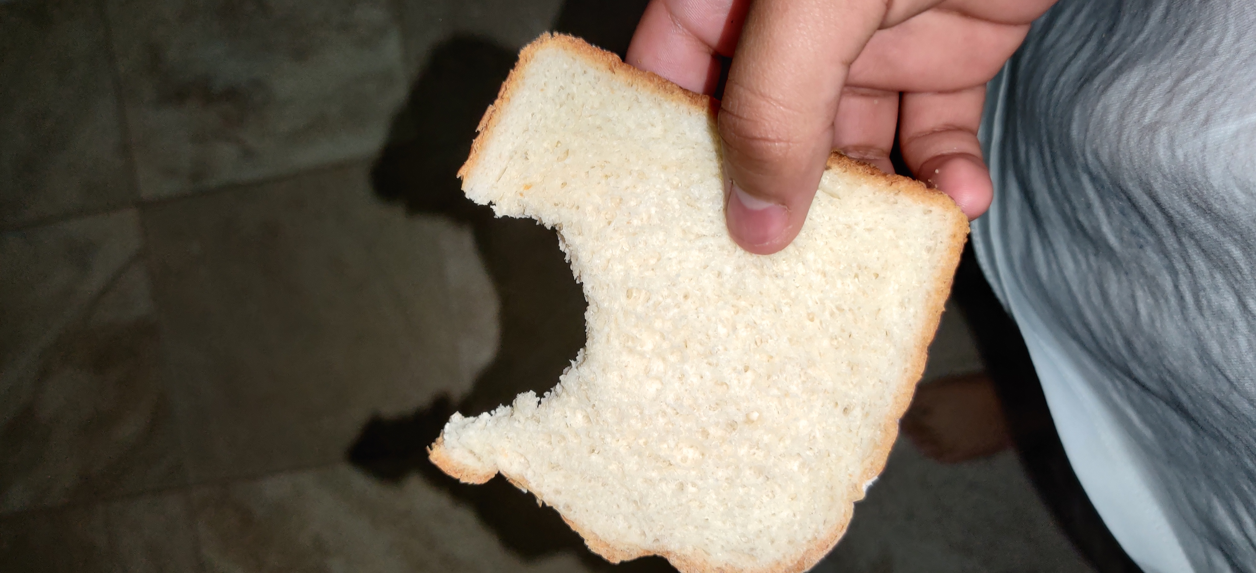 Random Pictures Of Bread I Have Fandom - cursed image bread roblox