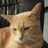 Chatmusique
