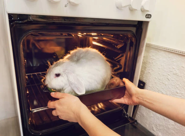 Все мемы Кролик-умница Рисовач .Ру