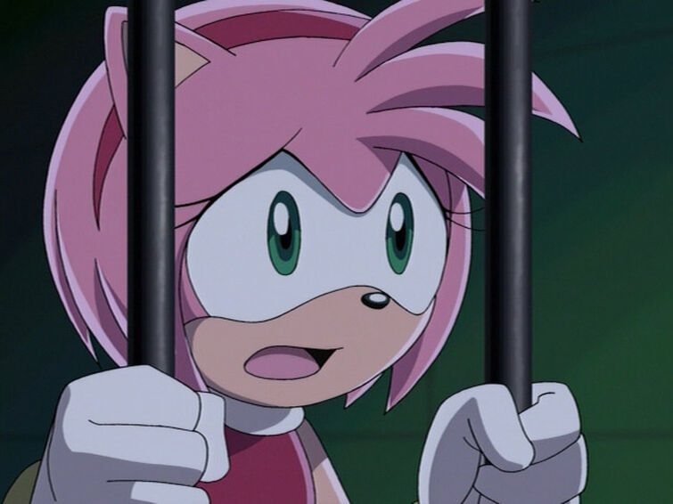 The Colorblindness of Amy Rose sprite comic