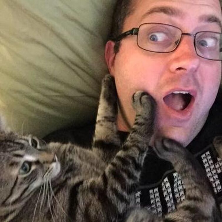 Eric Goldman on Twitter