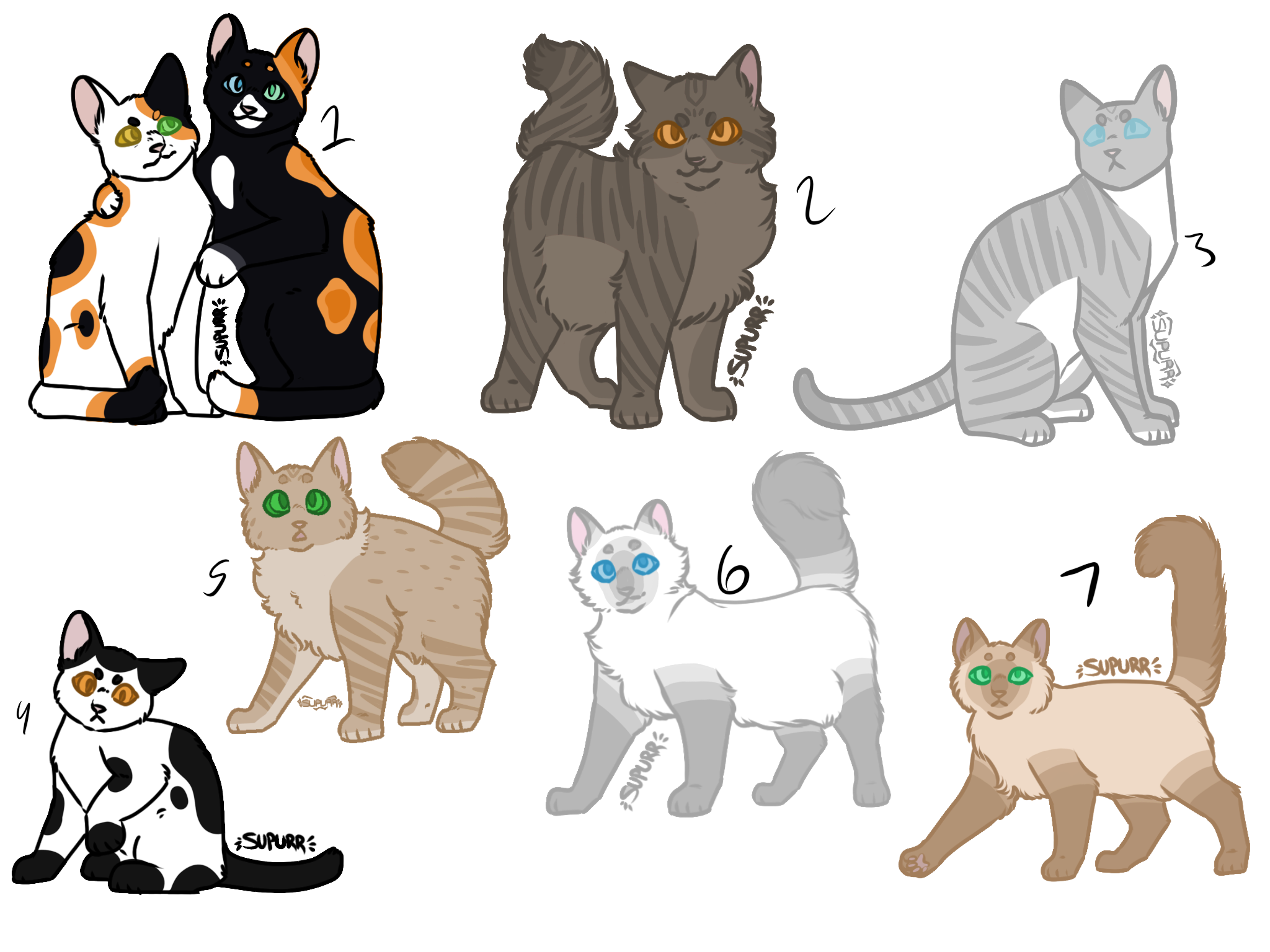 cat-raffle-fandom