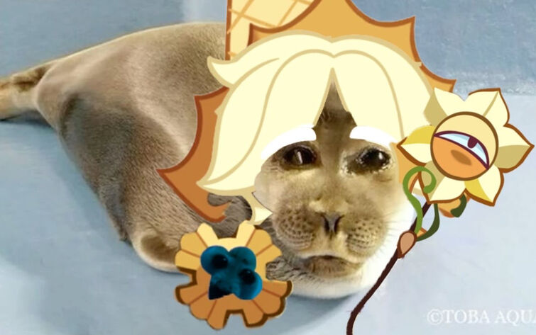 Fandom Image