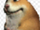 SussyTheThird