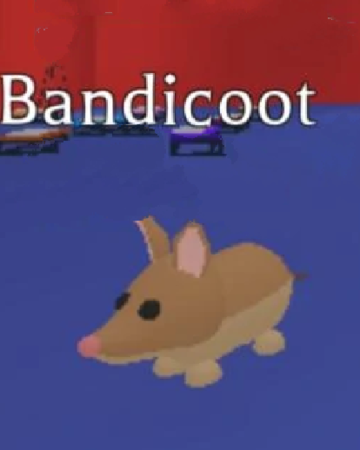 Before Me Vs After Me Fandom - roblox adopt me bandicoot