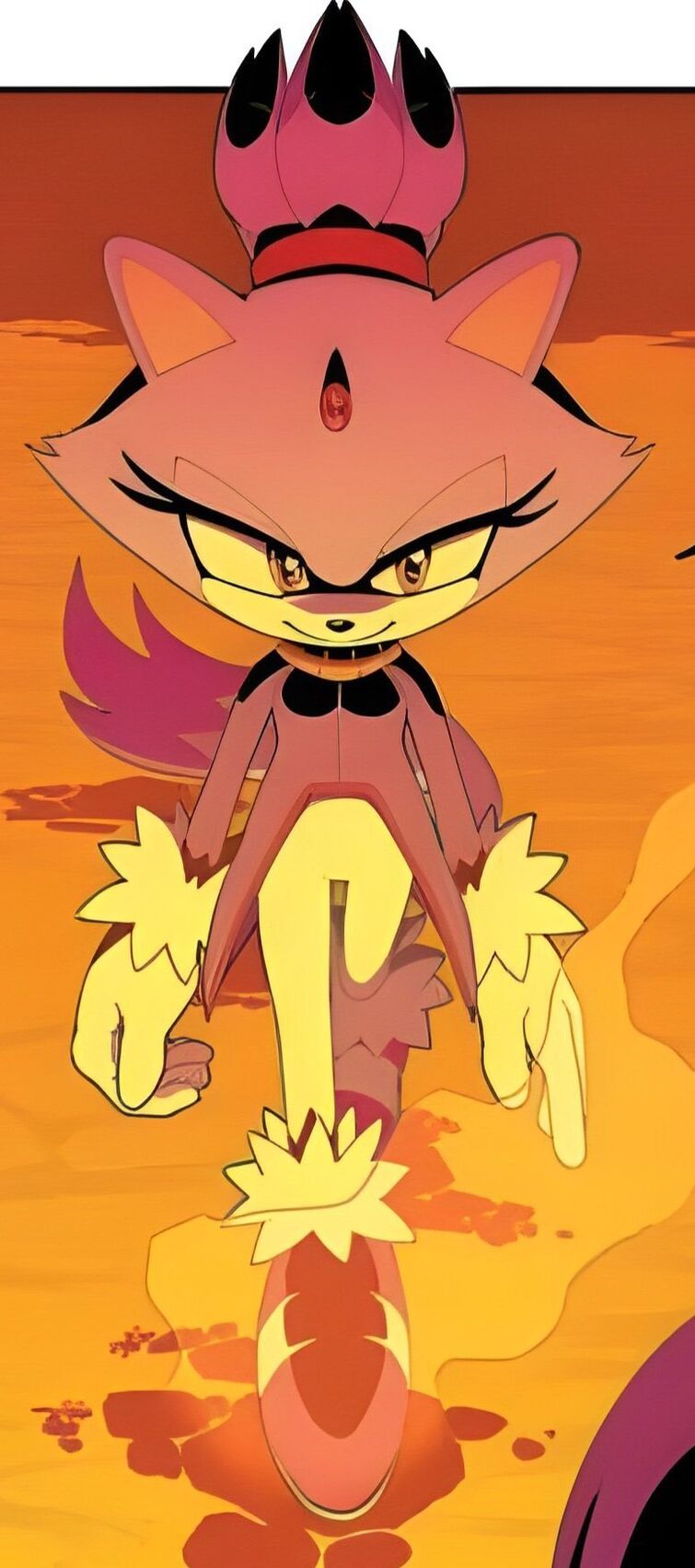 Idw blaze the cat