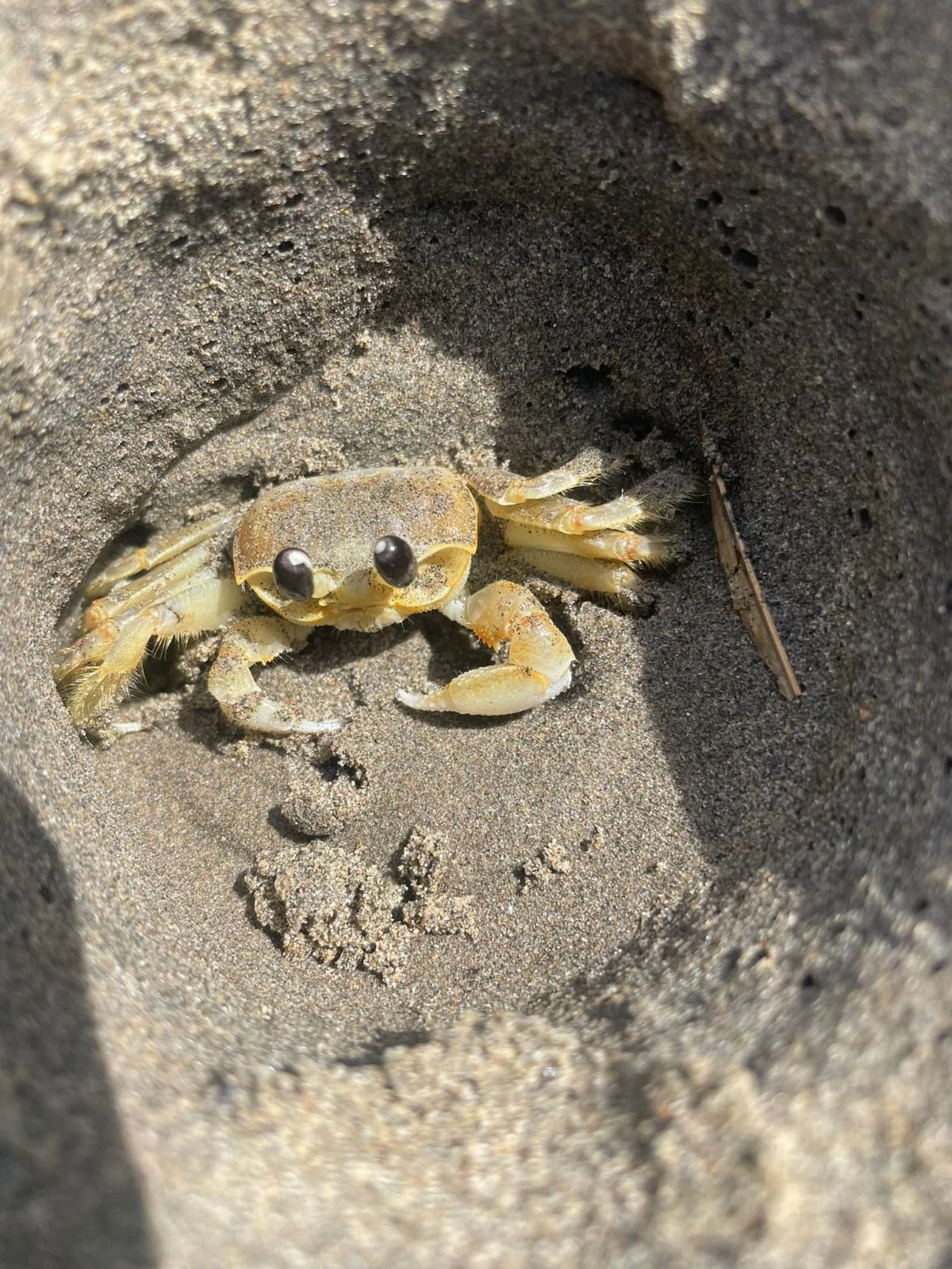 Ignore| Random photos from my roadtrip with no specific order. 🤩🤩 | Fandom