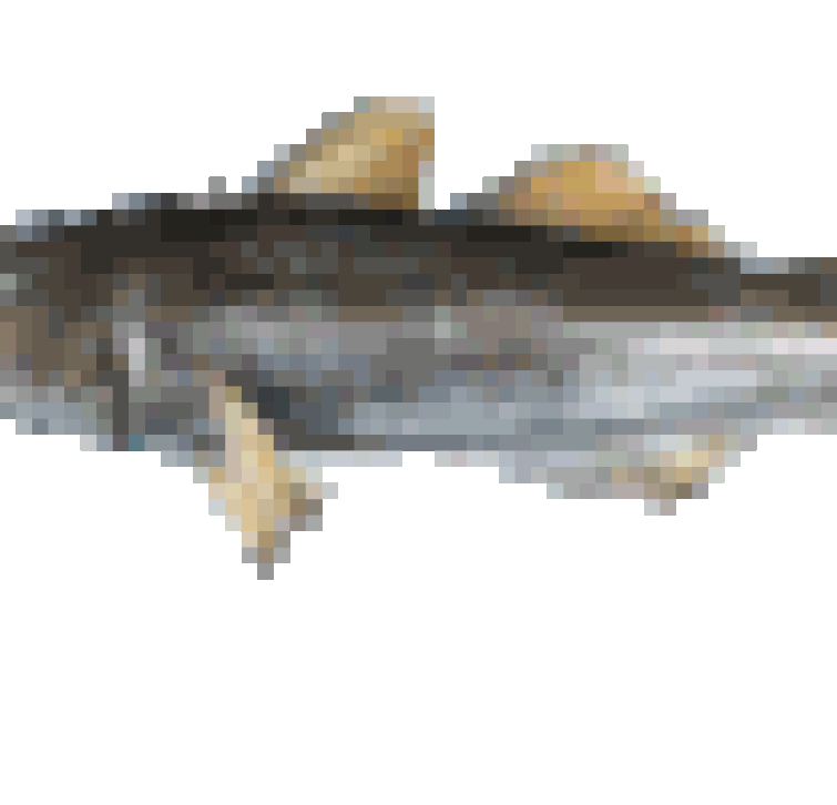 What is the best Metashield? Fandom