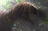 EpicThoradolosaur7782's avatar
