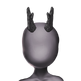 Xin horn