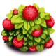 PuffFlowers2.png (179 KB)