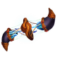 Stempo md