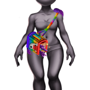 PrideAwaWardrobeBook.png (30 KB) Pride Awa